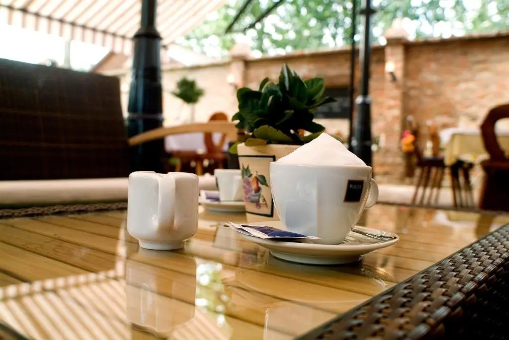 Hotel Vineyard Inn - Szőlőskert