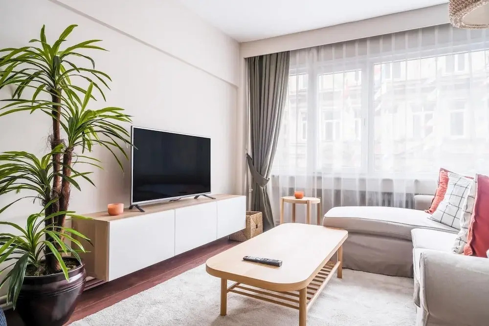 Centrally Located Modern And Cozy Flat In Sisli