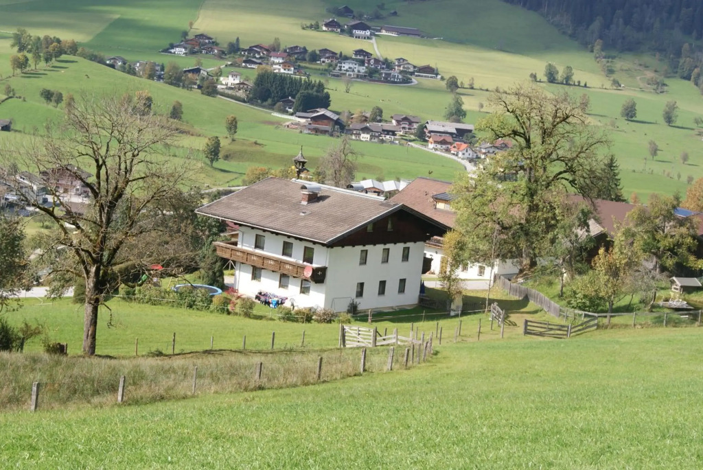 Steinerbauer
