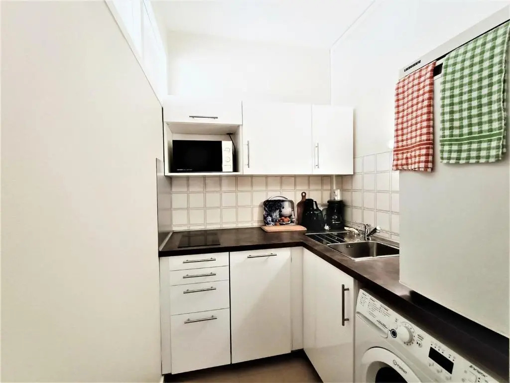 Appartement Aix-les-Bains, 2 pièces, 2 personnes - FR-1-555-48