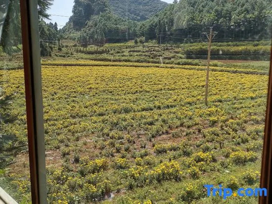 Yunshang Holiday Manor