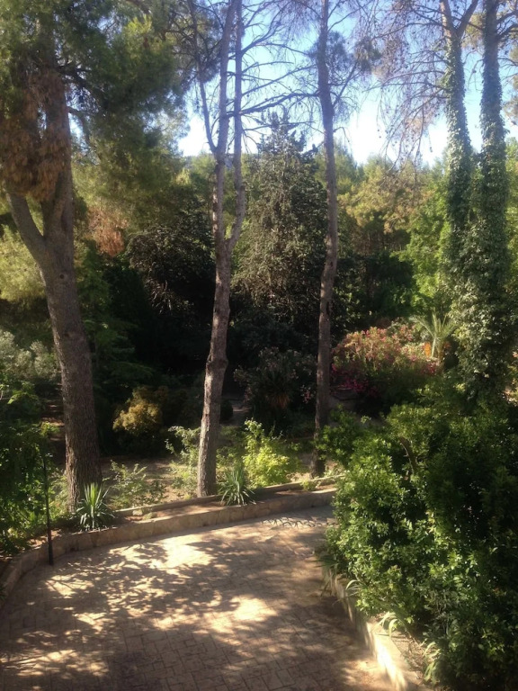 Mas De San Antonio