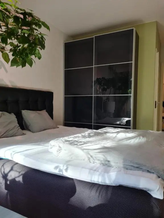 Paradise apartment