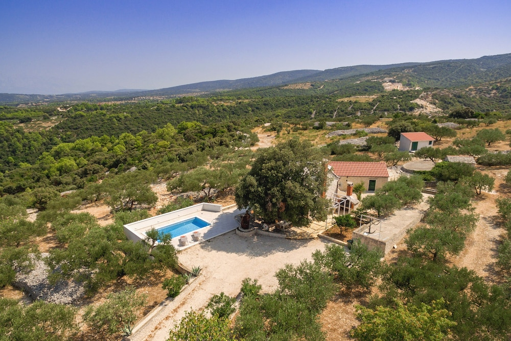 Villa Dubrava - Heated Pool & Olive Grove Retreat I Brač Island