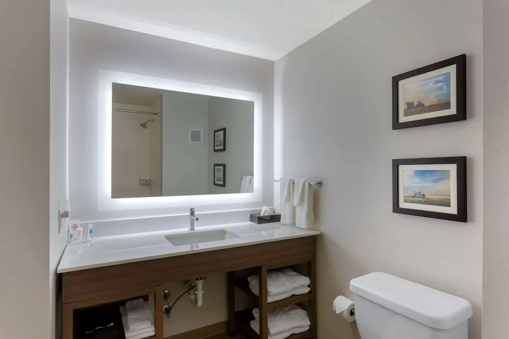 Comfort Inn Jonesboro Central