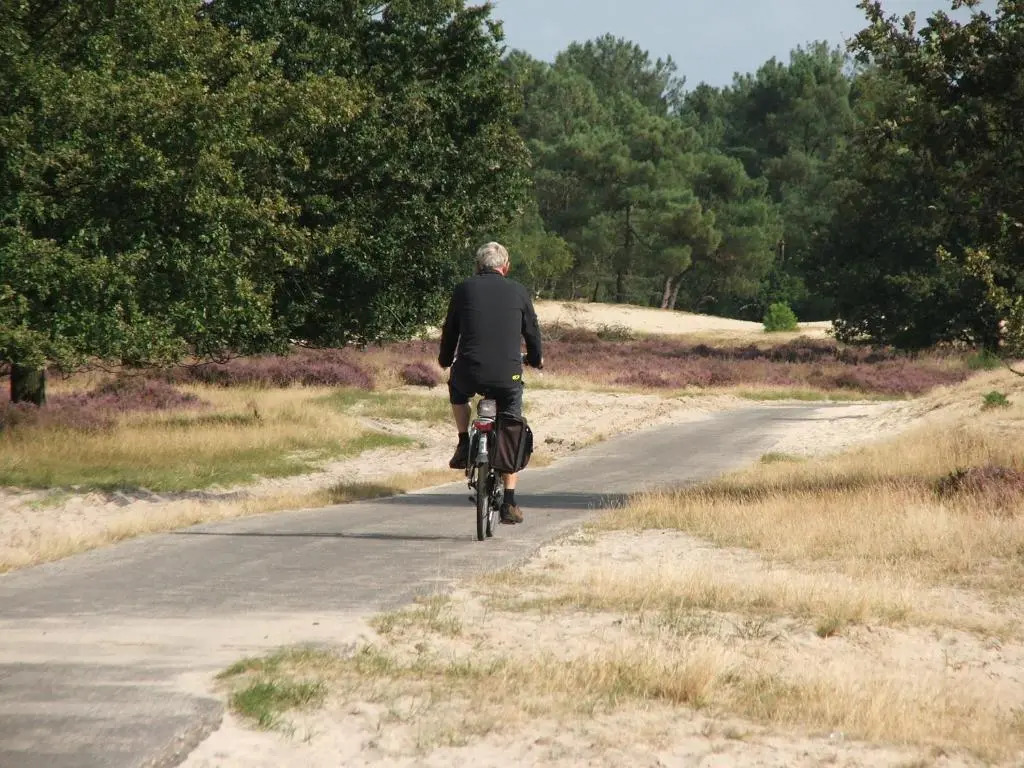 Holiday Park Duinhoeve