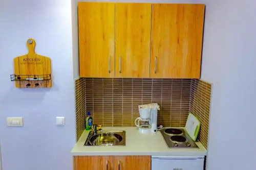 Apartment Piko
