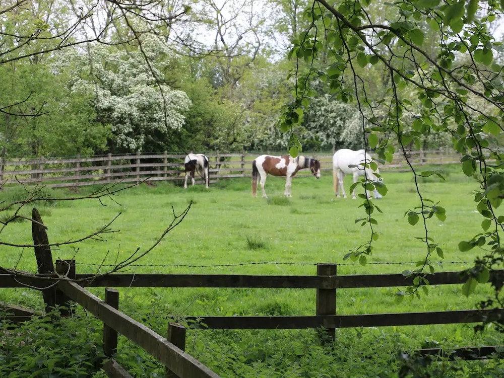 Lower Flass Farm