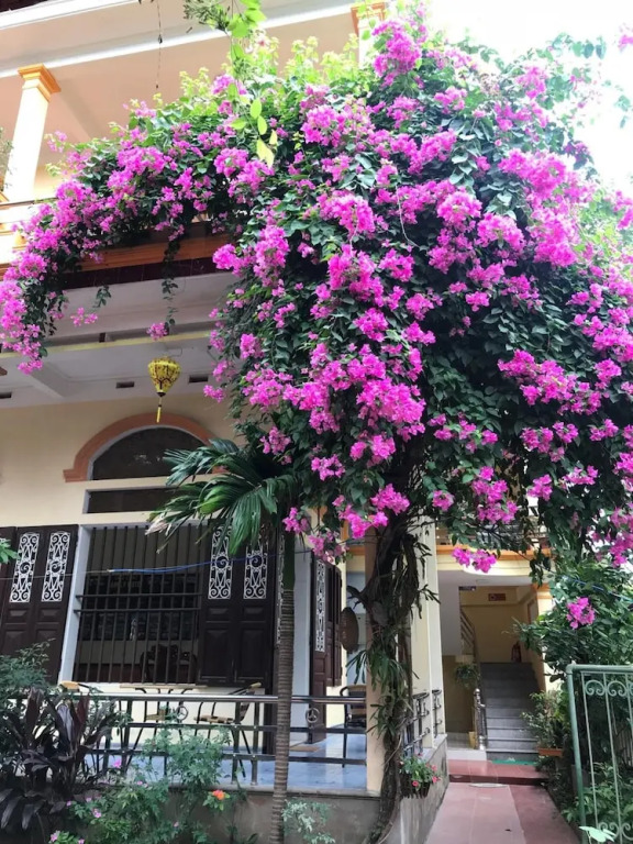 Tam Coc Family Homestay