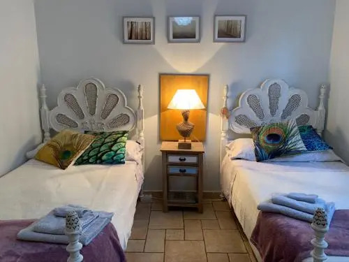 Indigo Star House