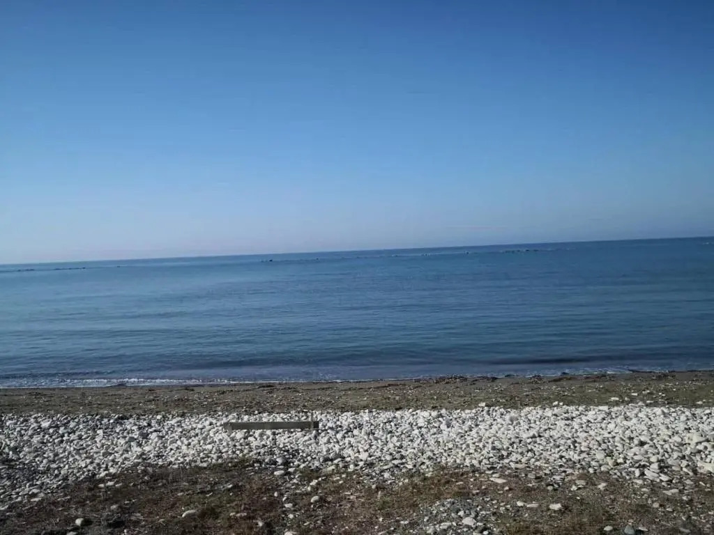 Sandy Beach N.8