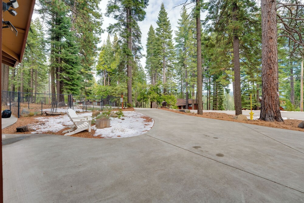 Gateway to Lassen Volcanic! Cozy Woodland Studio