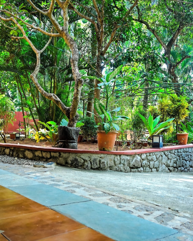 Home City Homestay & Ayurvedic Clinic