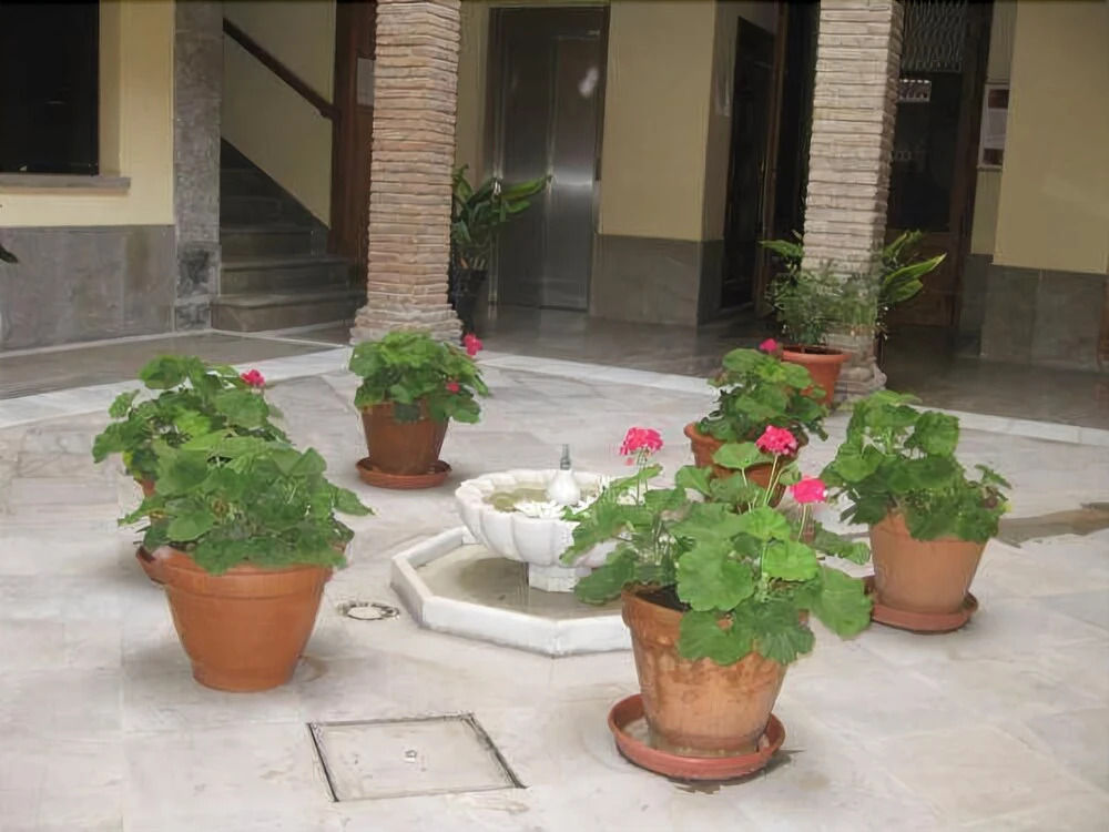 Apartamentos Puerta Real