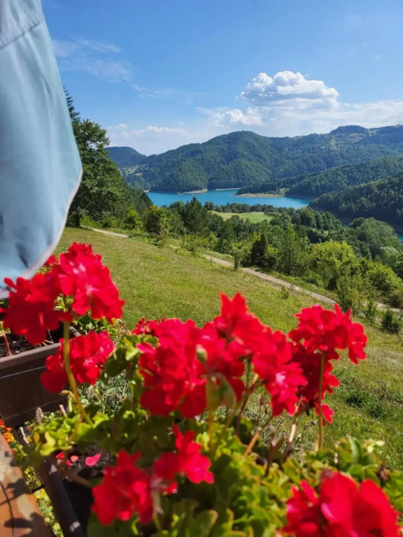 Zaovinska Panorama I