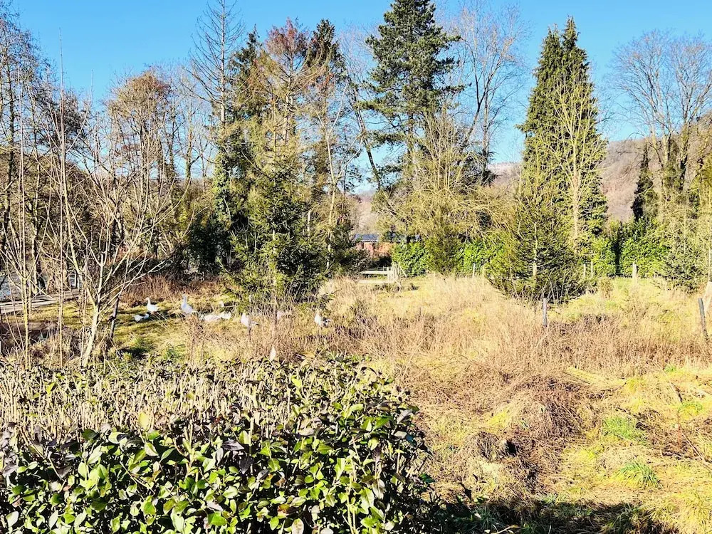 Maison proche rivière avec jardin