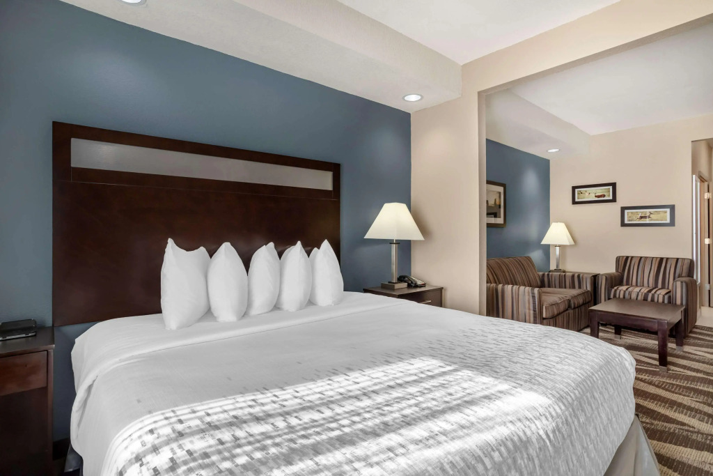 Best Western Plus Lake Jackson Inn & Suites