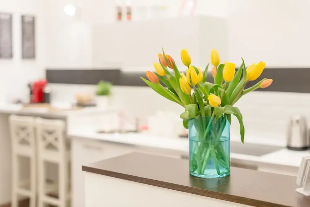 Venus Apartments - Almassy Park