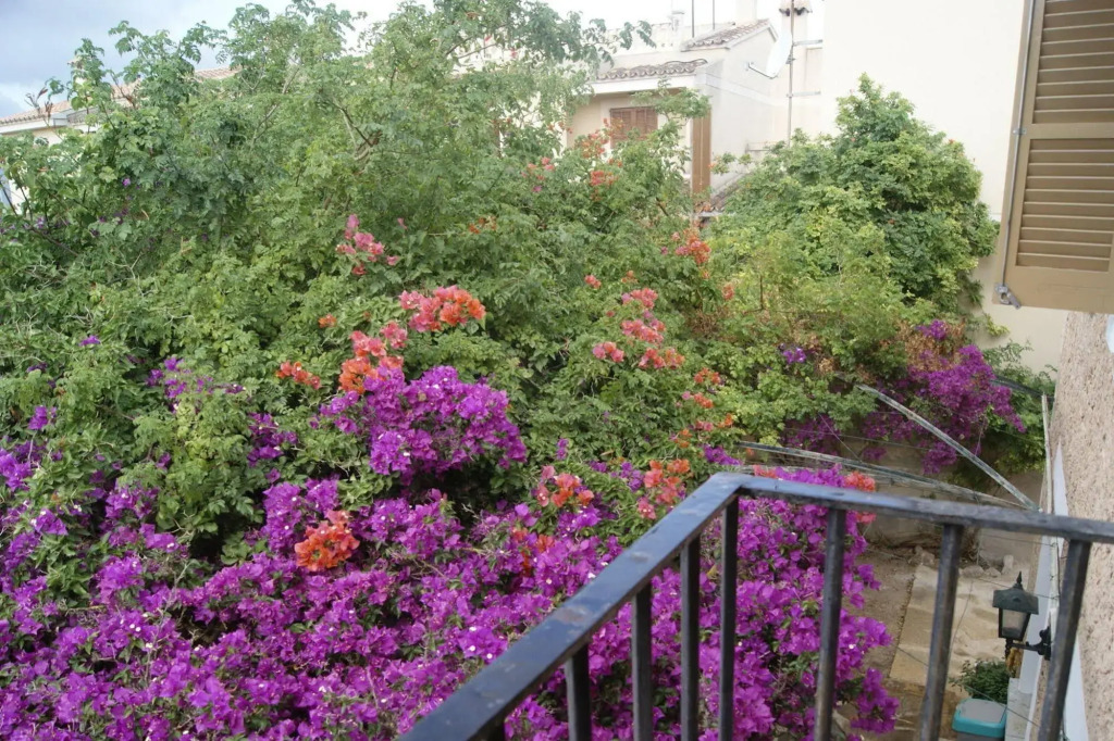 Residencial Rustic Lau