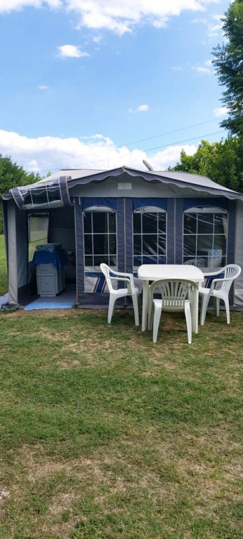 Mobile Homes Surrounded by Greenery