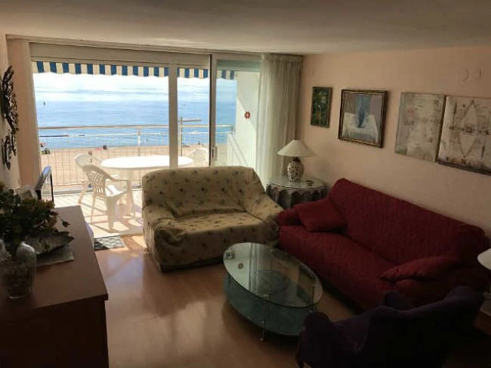 Apartamento Elypalace 1-3