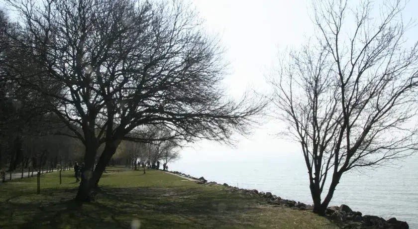 TIHANY-SAJKOD