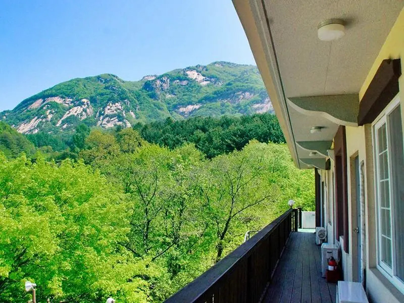 Pocheon Yeohaeng Sketch Pension