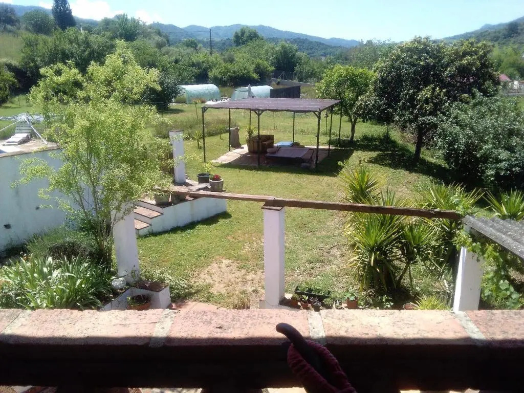 Finca La Rana Verde