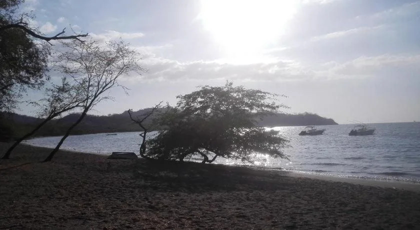 Oasis