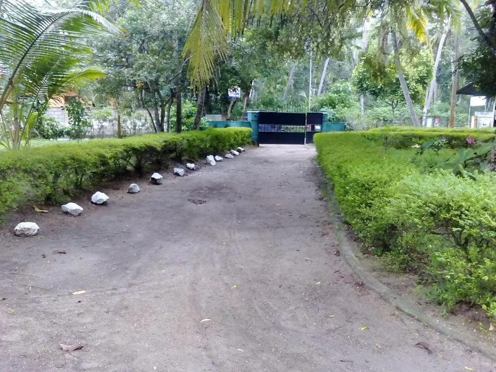 Riparian Rest
