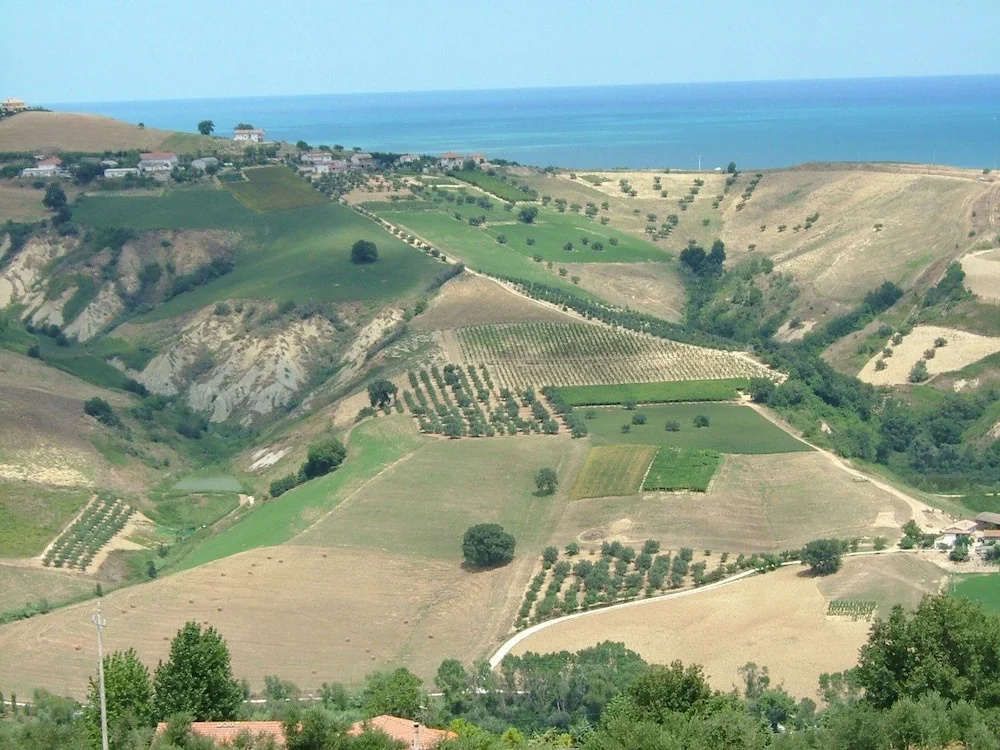 Agriturismo Le Macine