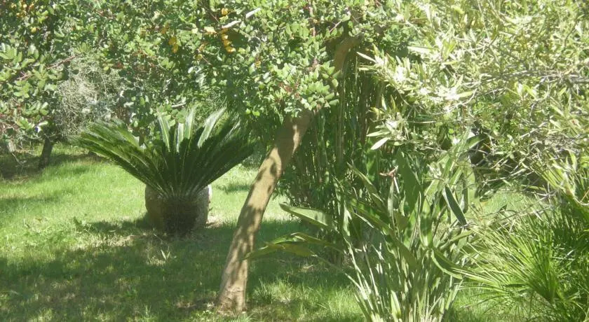 Appartamenti Sisula Manna