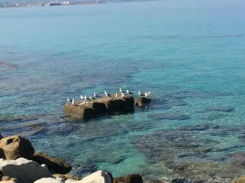 Marina Holiday Home