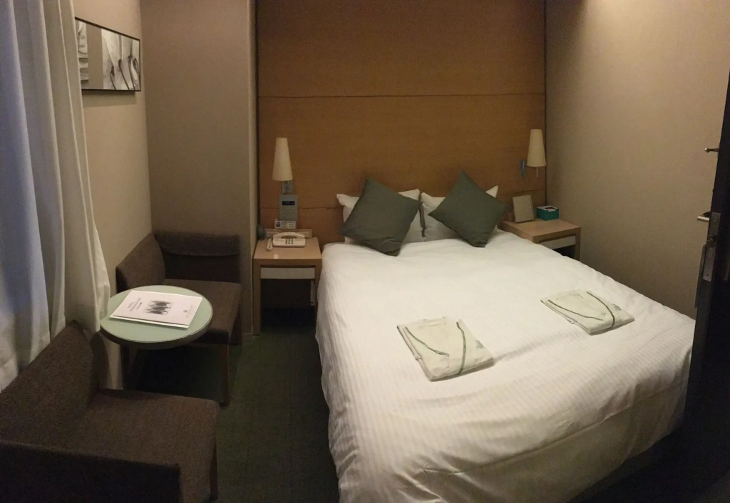 Yaesu Terminal Hotel