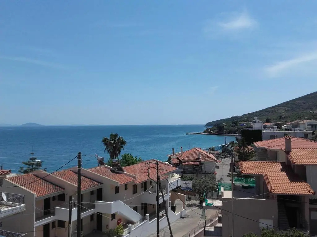 Zavitsa