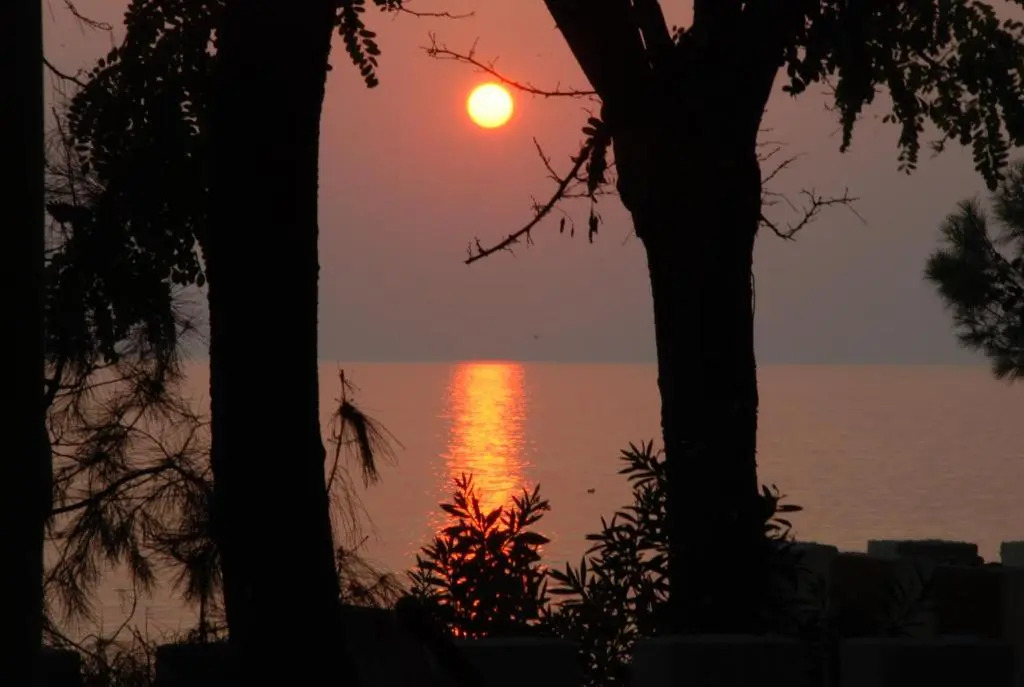 Ktima Papaoikonomou