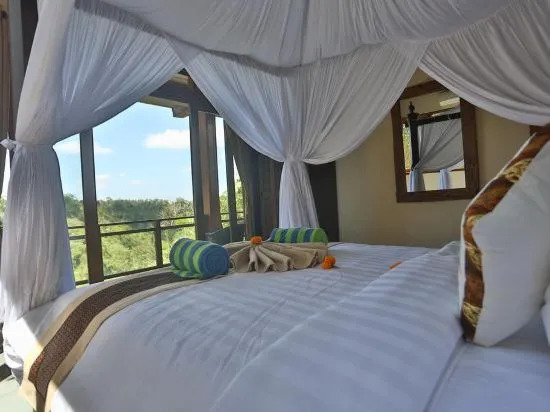 Bali Ubud Villa View