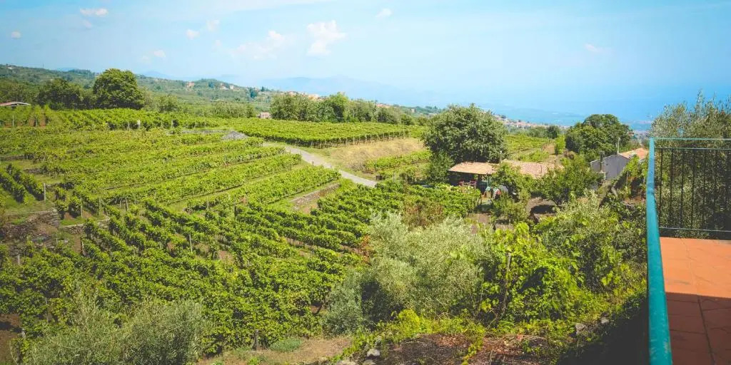 Le Case Del Merlo Turismo Rurale