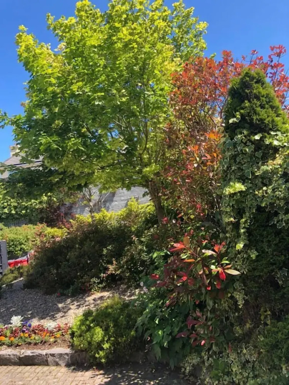 Amber Heights Guesthouse