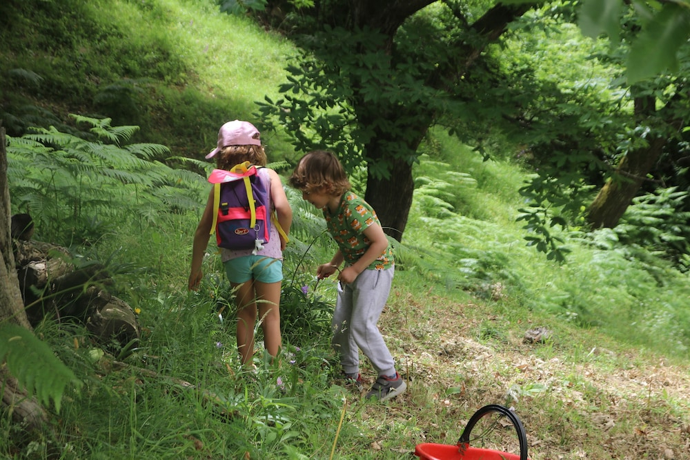 Agriturismo Il regno del marrone