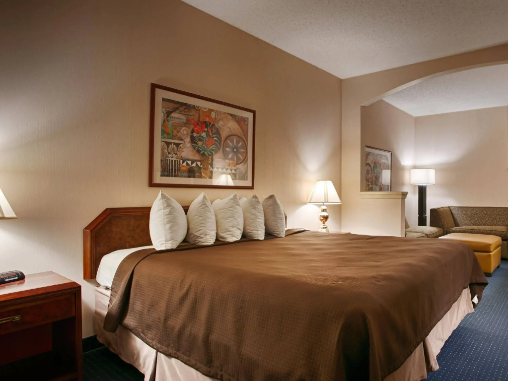 Comfort Suites Plano East - Richardson