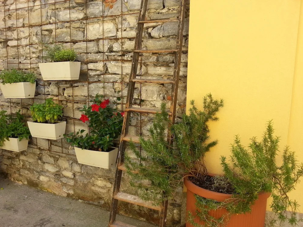 La Corte di Zizi