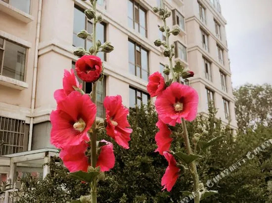 Haoyunke Apartment Hostel