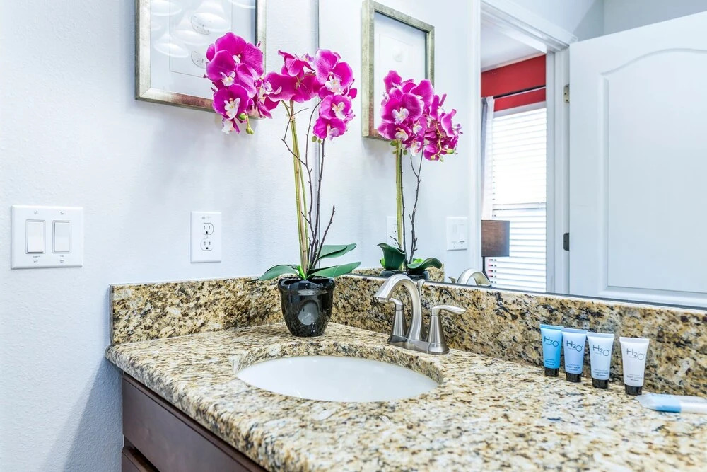 Spacious Home Near Disney