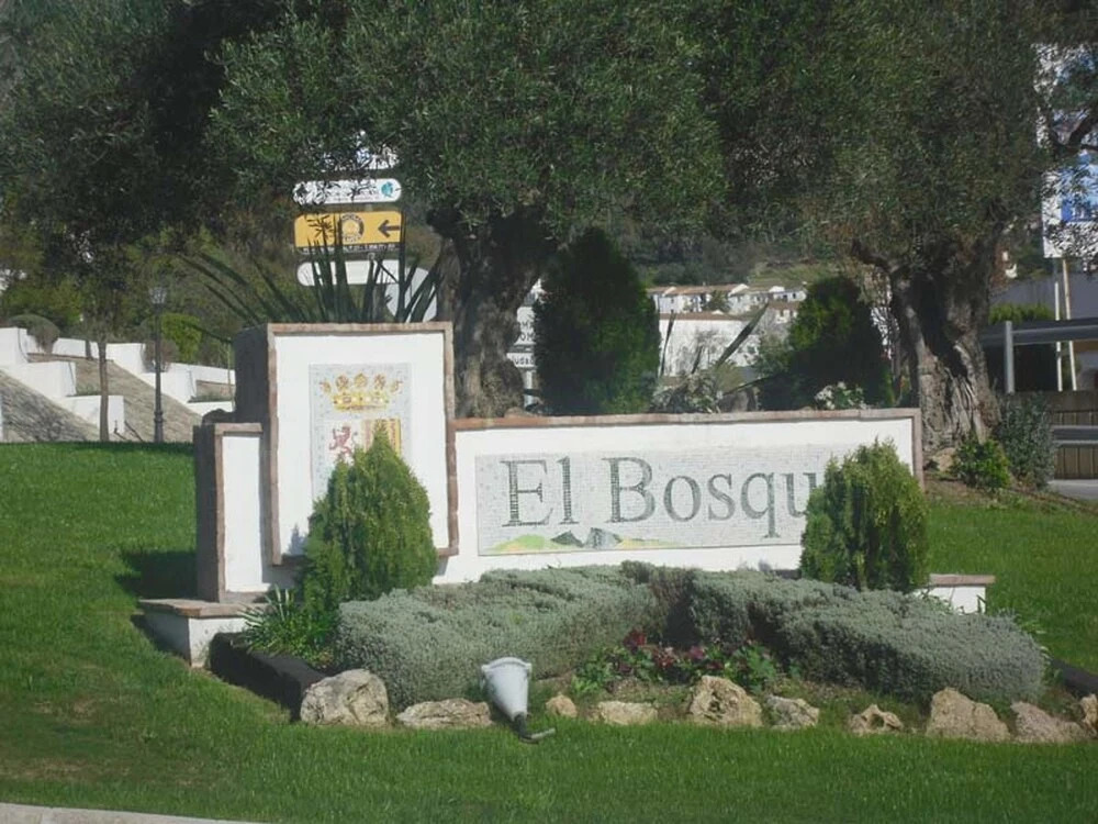 House With 3 Bedrooms in El Bosque, With Private Pool and Terrace - 70