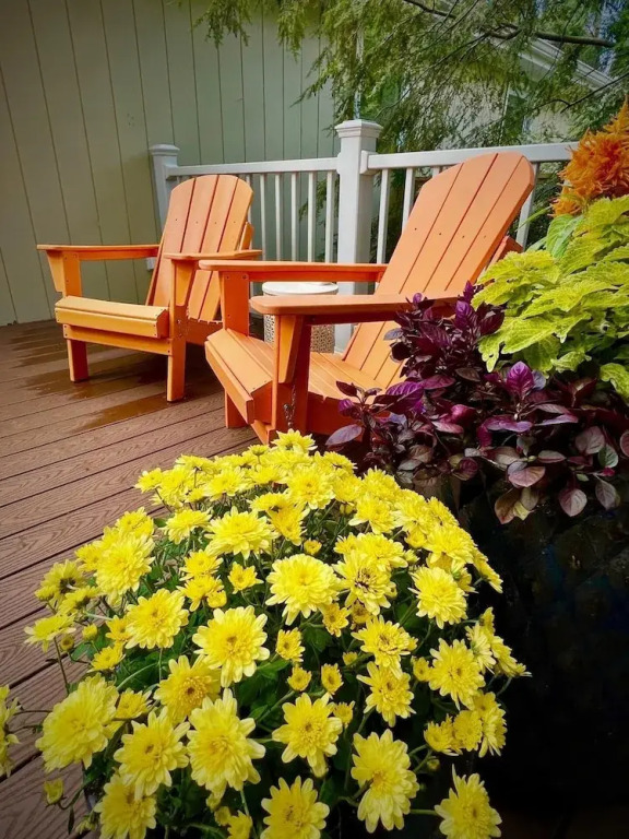 The Sharlene-hot tub Fenced Yard Steps to Douglas