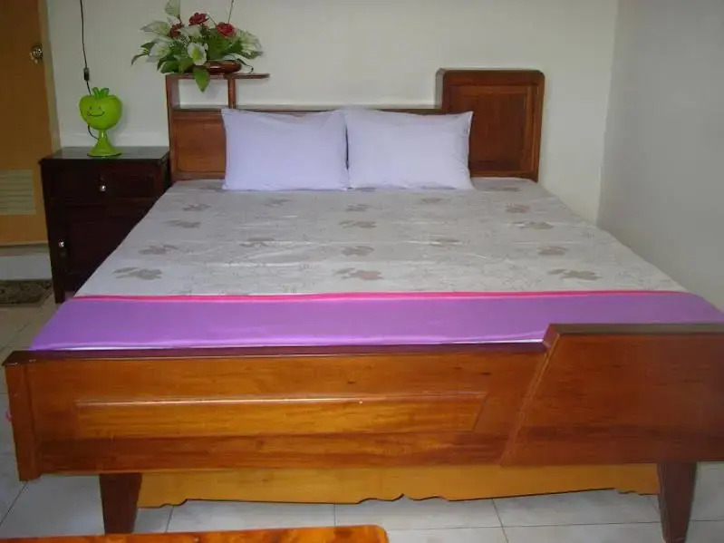 Mekong-Logis Guesthouse