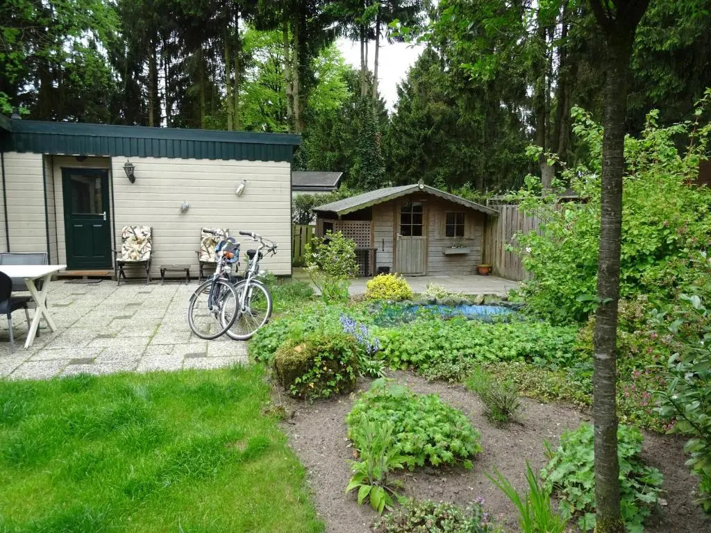 COZY & SPACIOUS PLACE ON A QUIET SPOT IN THE MIDDLE OF THE NETHERLANDS with free use of 2 womens and 2 mens bikes plus child seat