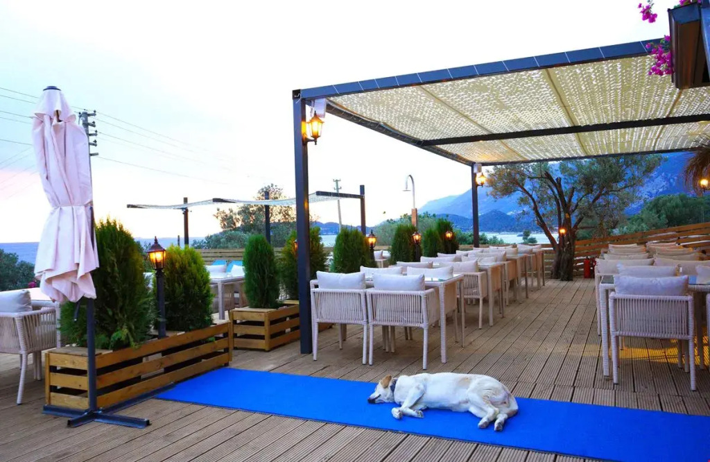 The Luxury Shelters