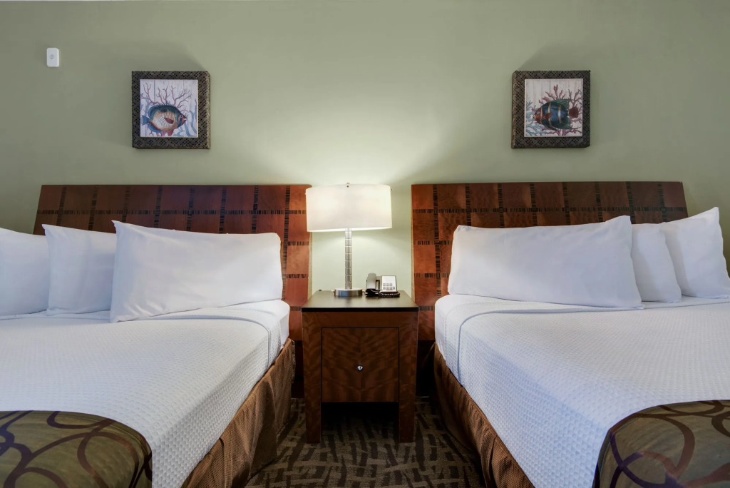 Palm & Tide Beachfront Hotel